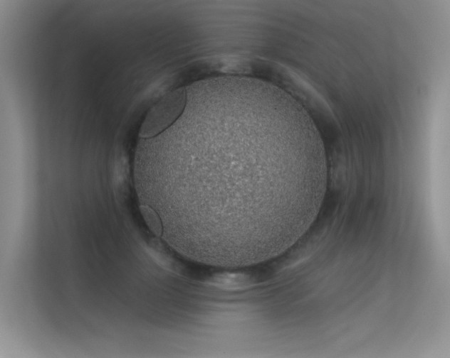 X0000112380748200908131528