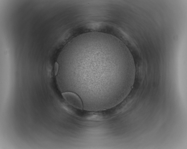 X0000112380750200908131529