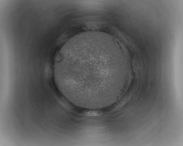 X0000112380751200908131529