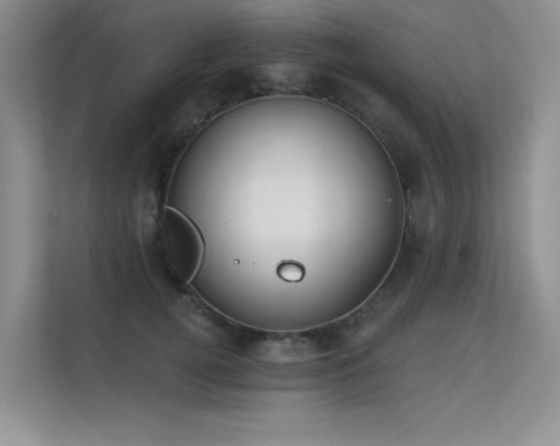 X0000112380752200908131529