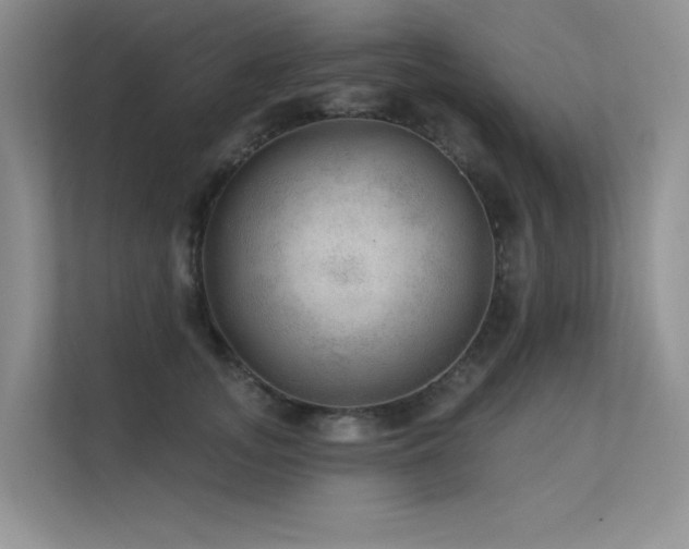 X0000112380755200908131529