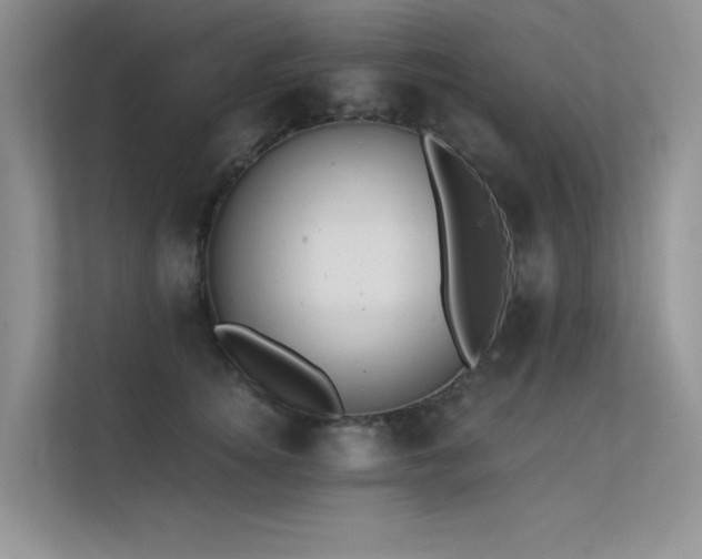 X0000112380756200908131529