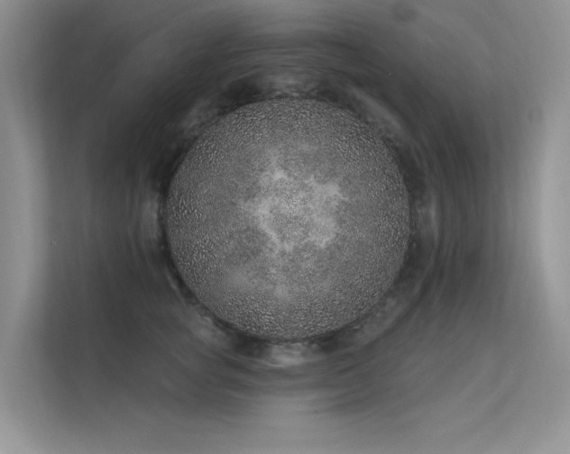 X0000112380757200908131529