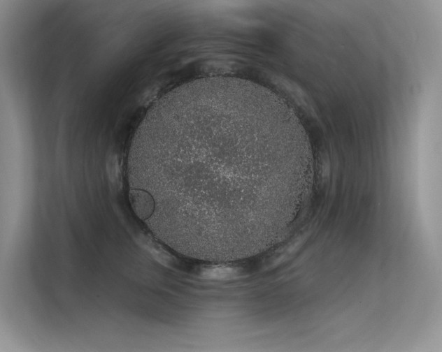 X0000112380759200908131529