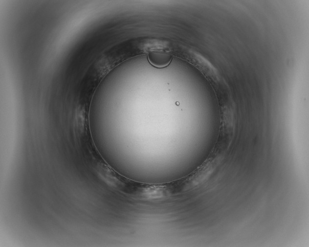 X0000112380761200908131529