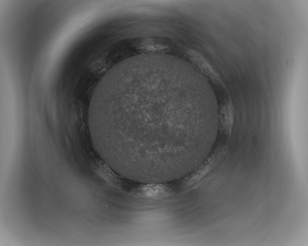 X0000112380762200908131529