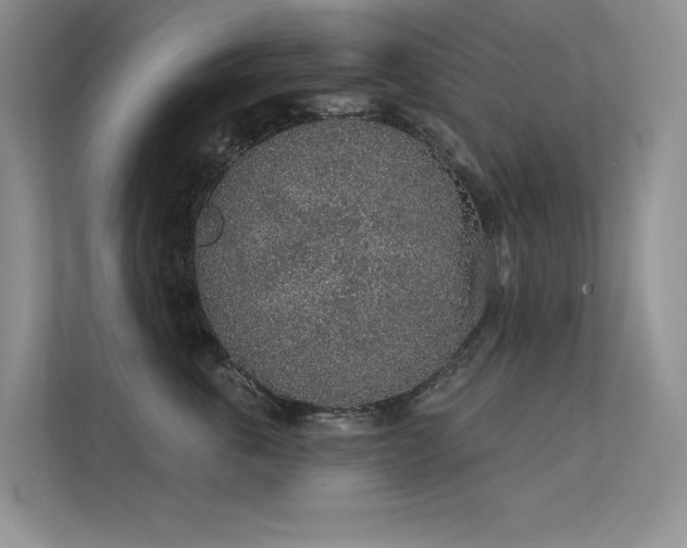 X0000112380763200908131529