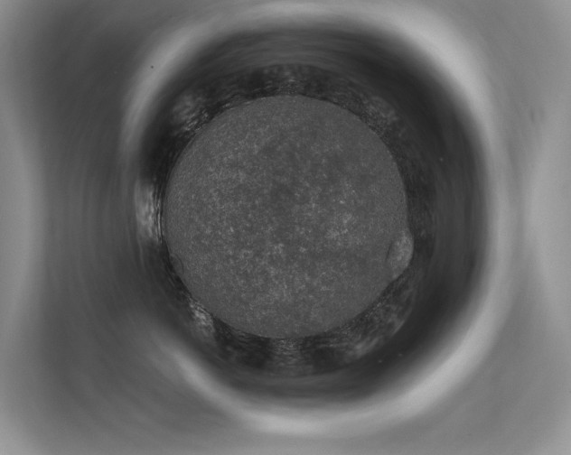 X0000112380766200908131529