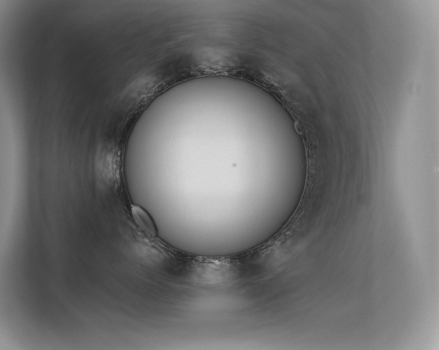 X0000112380768200908131529