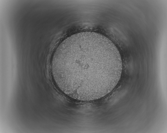 X0000112380769200908131528