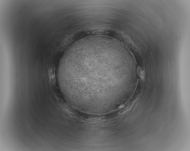 X0000112380771200908131528