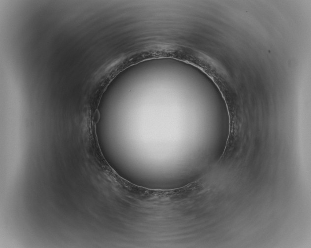 X0000112380773200908131528