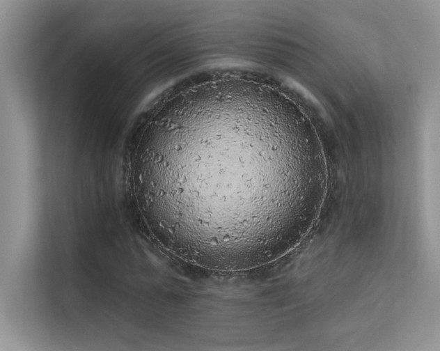 X0000112380775200908131528