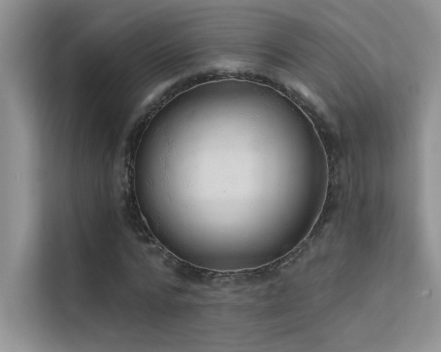 X0000112380776200908131528