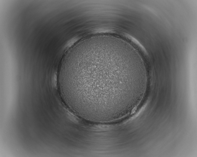 X0000112380777200908131528