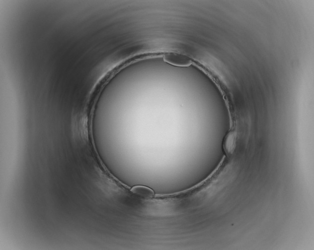 X0000112380781200908131528