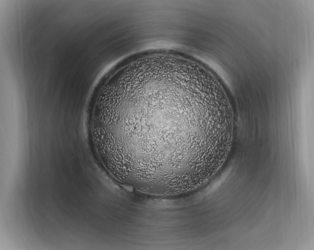 X0000112380783200908131528