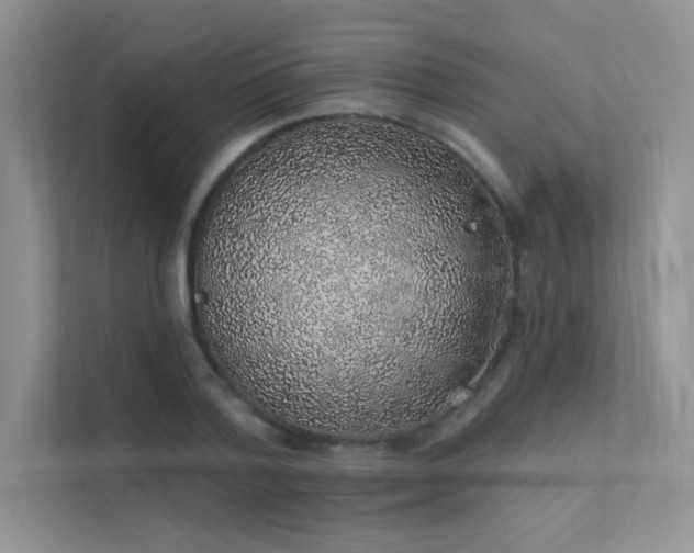 X0000112380788200908131528