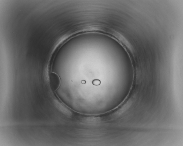 X0000112380789200908131528