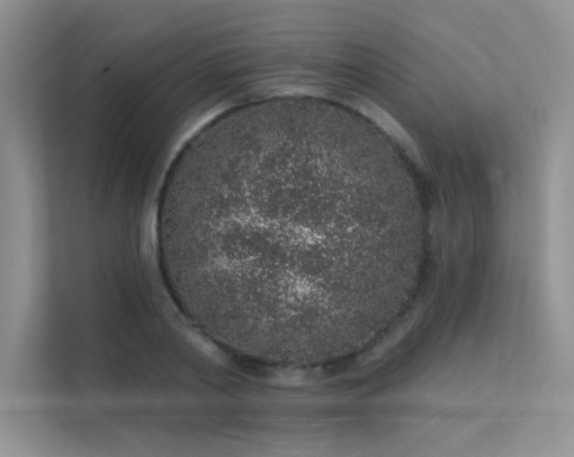 X0000112380790200908131528