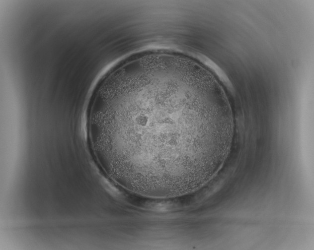 X0000112380791200908131528