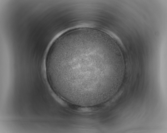 X0000112380792200908131528