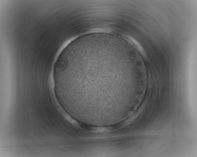 X0000112380796200908131528