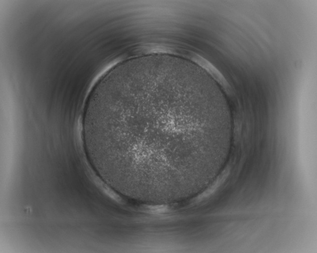 X0000112380798200908131528