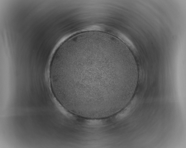 X0000112380800200908131528