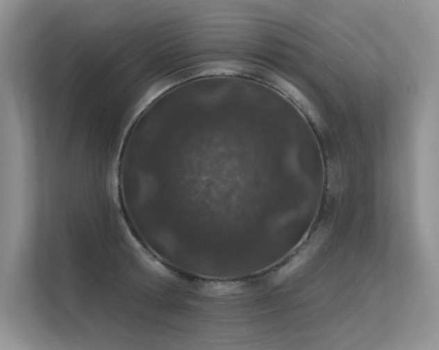 X0000112380802200908131528