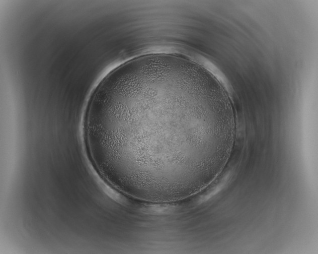 X0000112380803200908131528