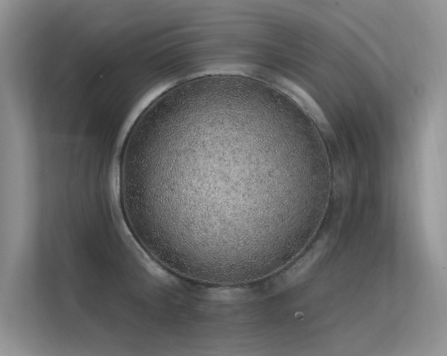 X0000112380804200908131528