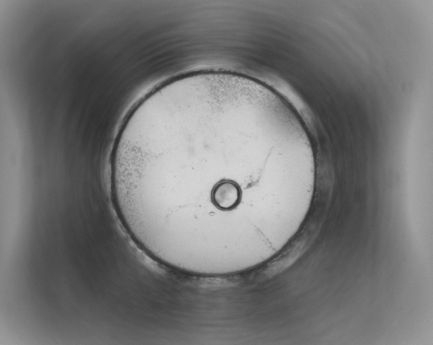 X0000112380807200908131528