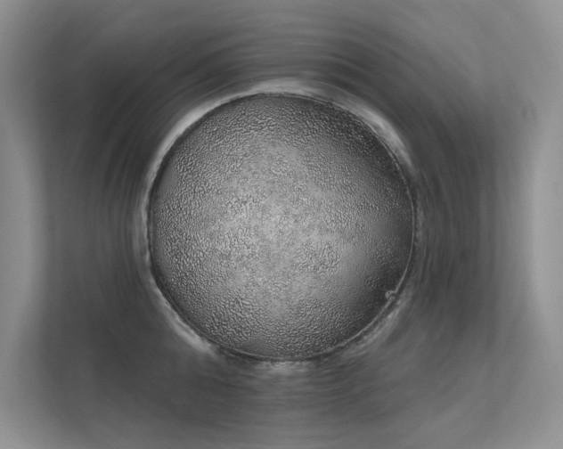 X0000112380808200908131528