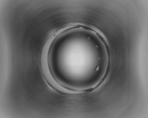 X0000112380809200908131528