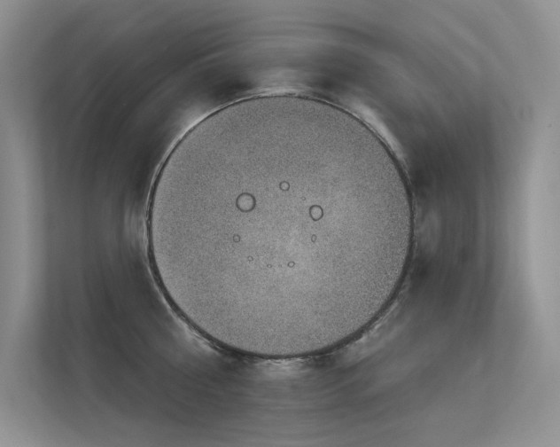 X0000112380810200908131528