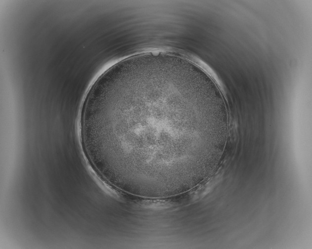 X0000112380811200908131528