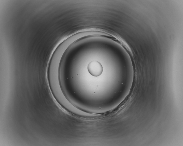 X0000112380813200908131528