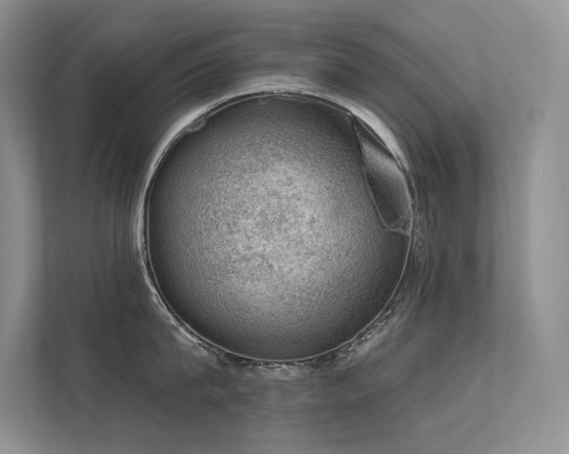 X0000112380815200908131528