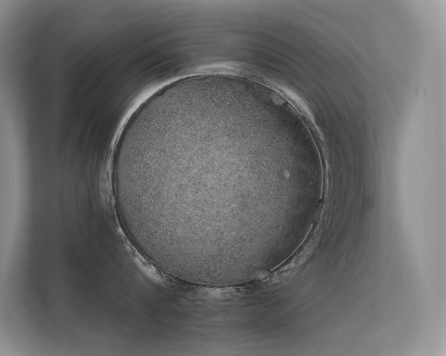 X0000112380816200908131528