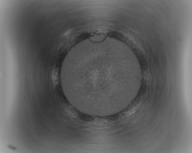 X0000112380818200908131527