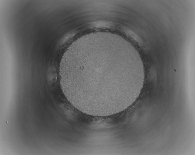 X0000112380824200908131527