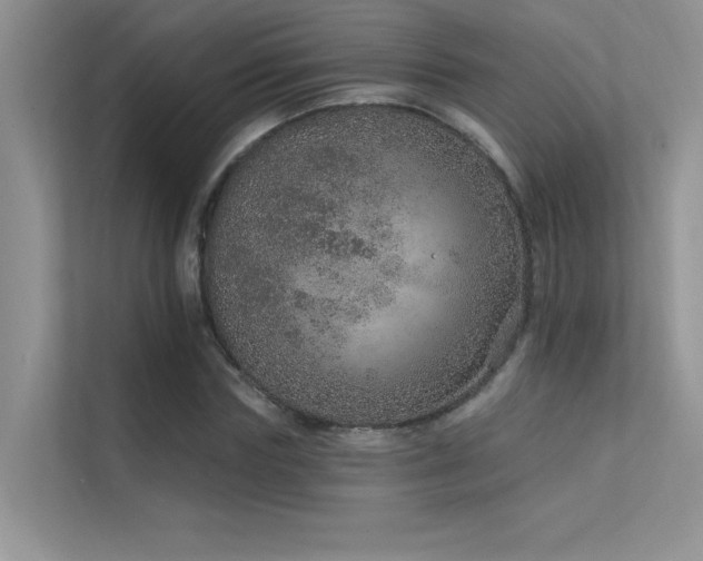 X0000112380827200908131527