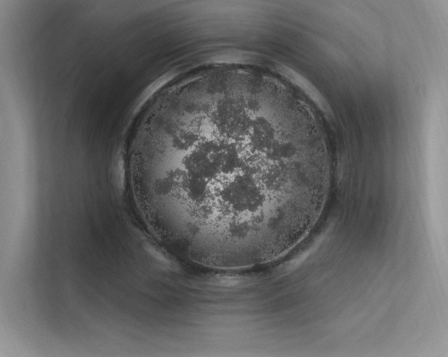 X0000112380829200908131527