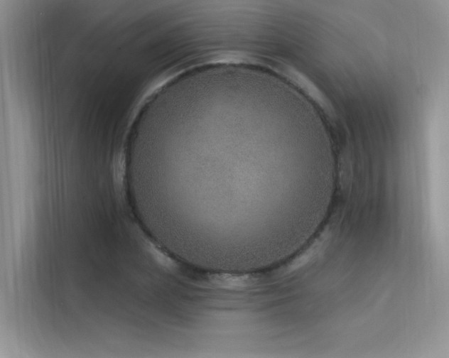 X0000112380831200908131527