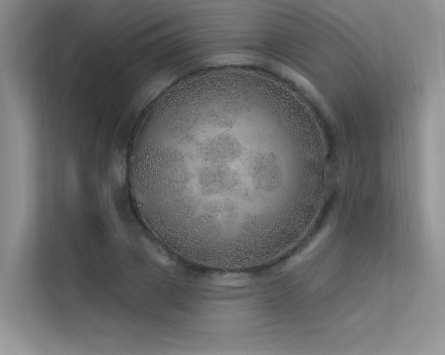 X0000112380833200908131527