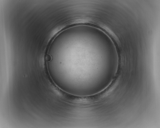 X0000112380834200908131527