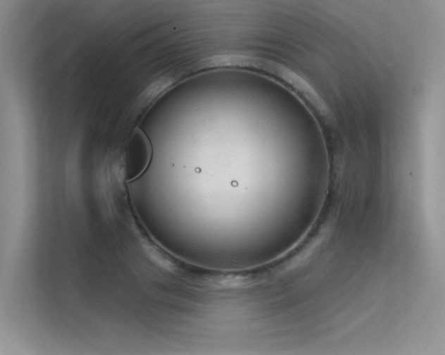 X0000112380841200908131527