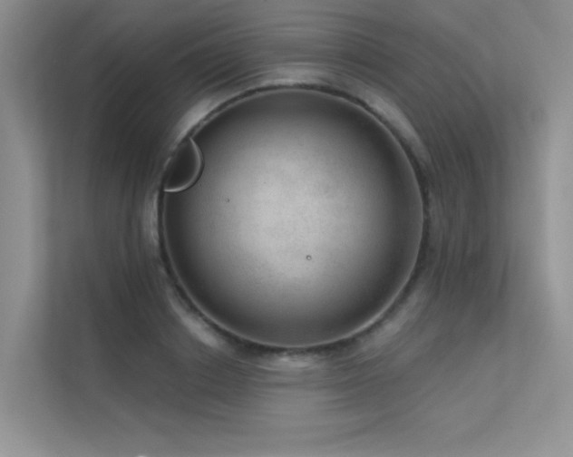 X0000112380842200908131527