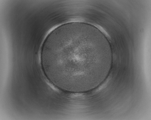 X0000112380846200908131527